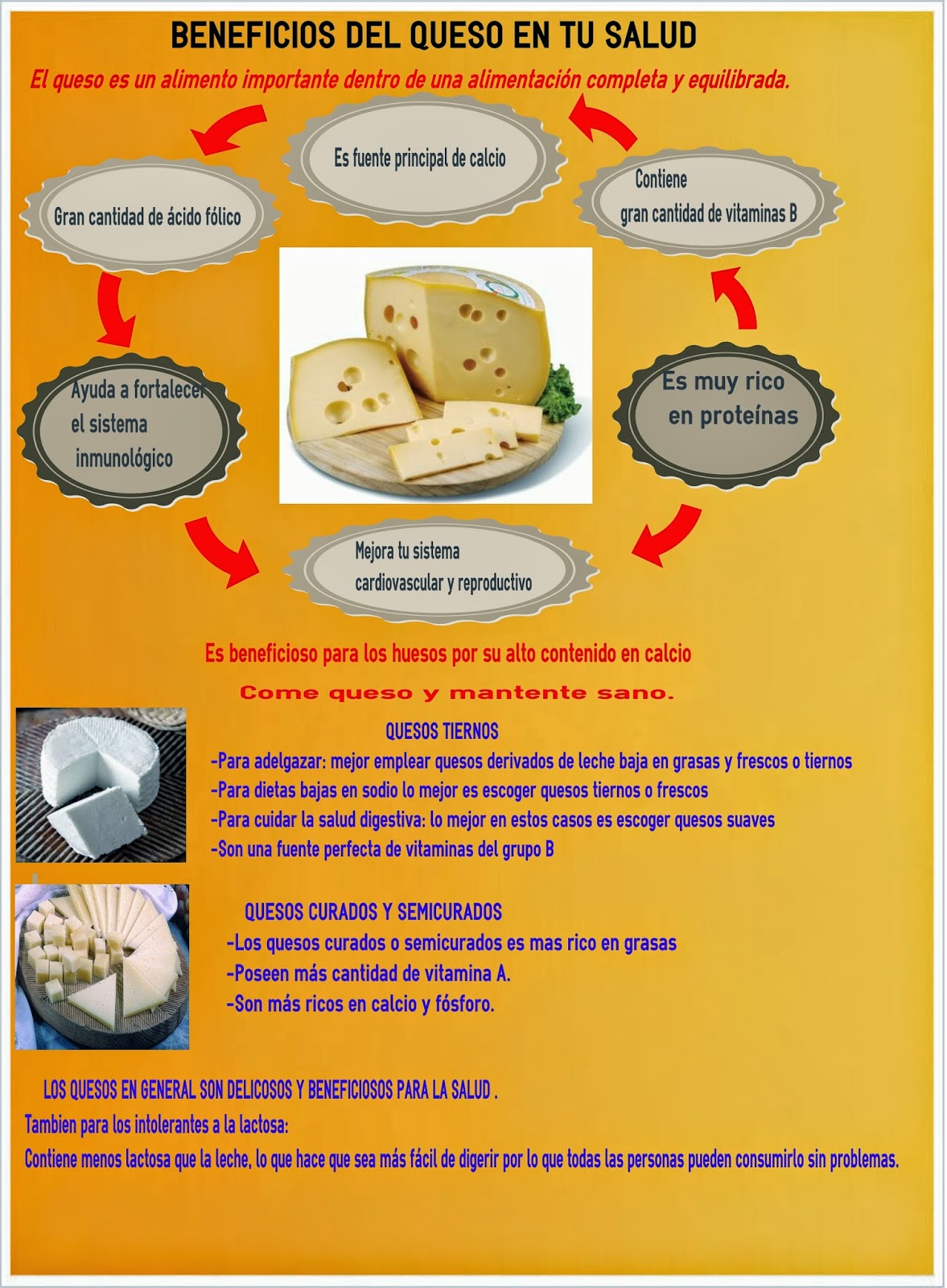 Cuaderno de salud y dietética. : Infografía Beneficios del Queso en tu