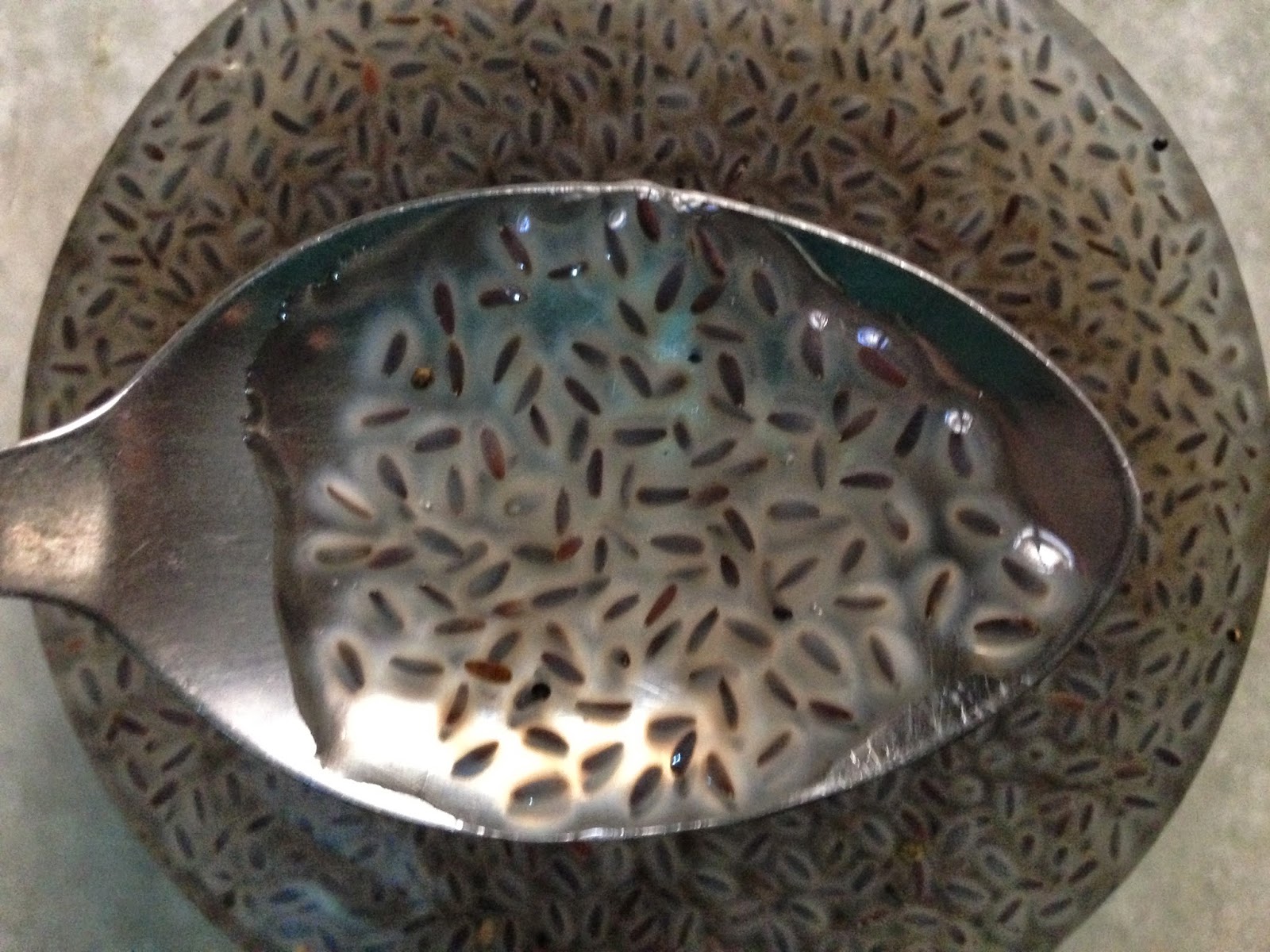 Indian Vegetarian Recipes How to use Sabja/Tulsi/Basil/Tukmaria