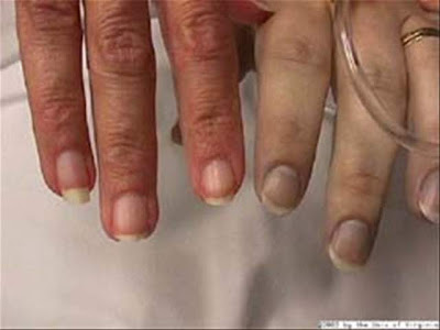 City Nails And Spa Loganville Prices City Nails And Spa Loganville Prices