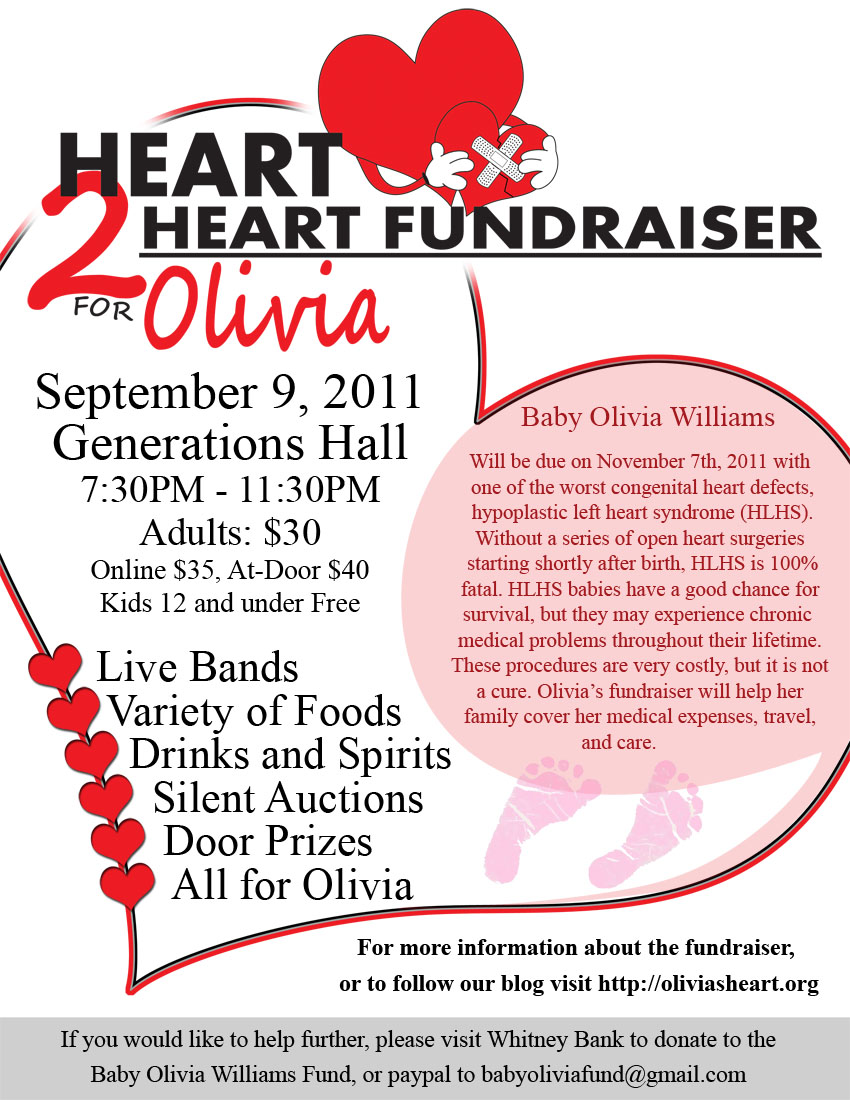 Olivia's Special Heart Our HLHS Journey July 2011