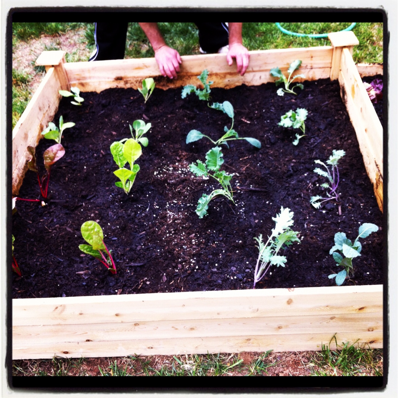 Grain-Free Groupie: Weekend Project- Raised Garden Bed!