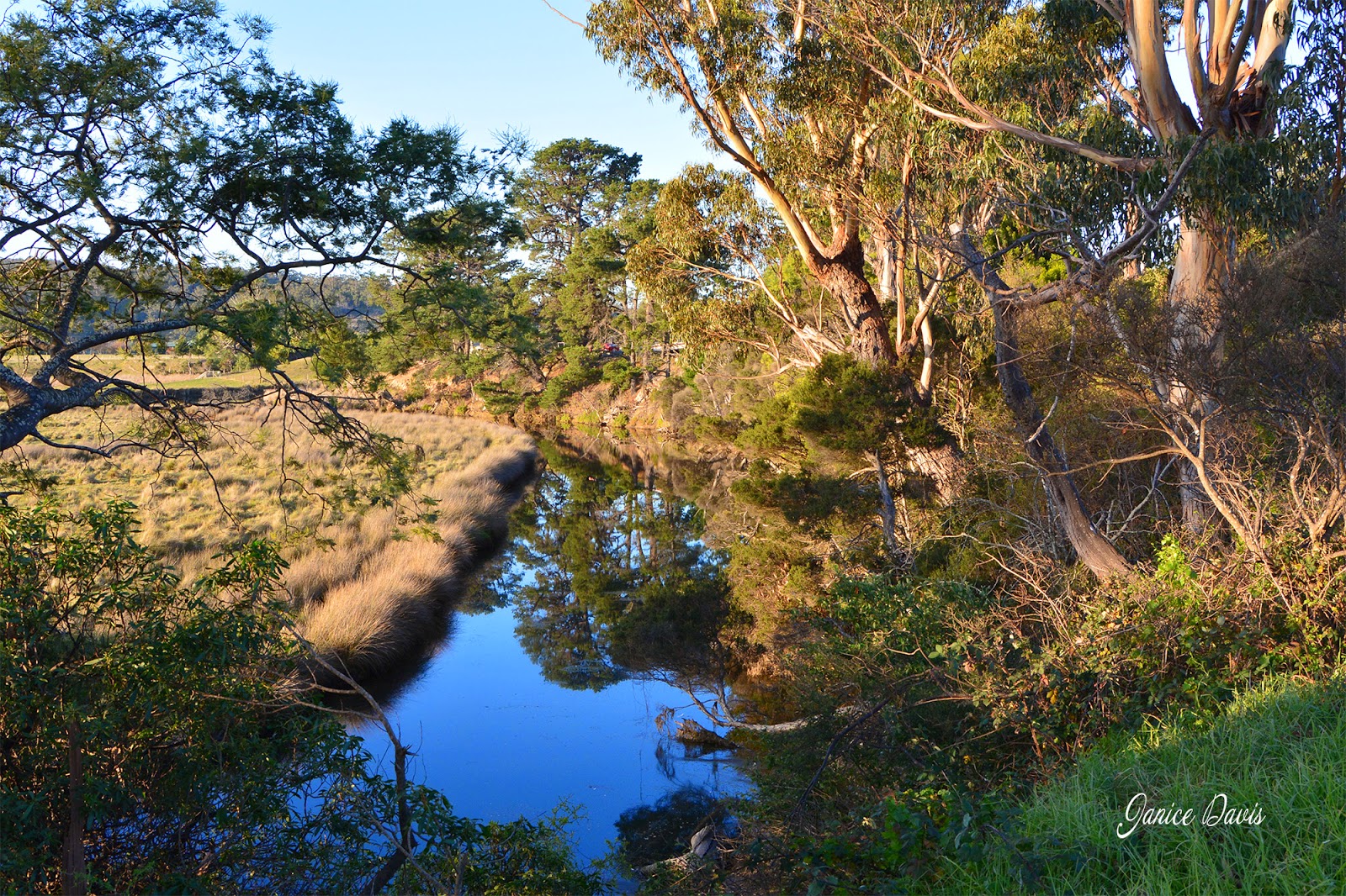 thoughts & happenings: St. Helens, Tasmania.