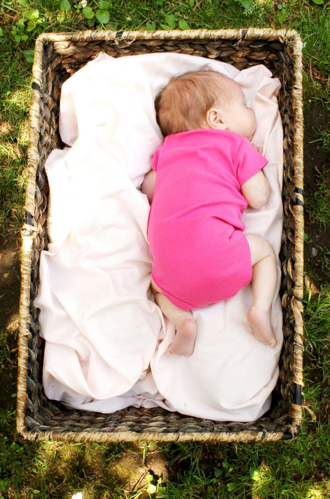. Outdoor Newborn Photo Shoot