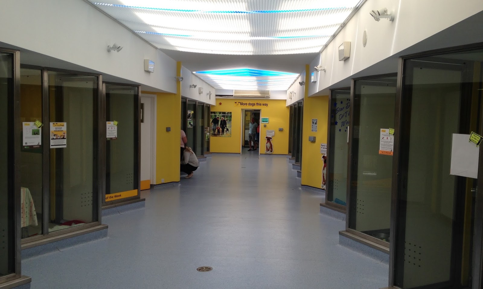 Life's a (Shoreham) beach A tour around Shoreham Dogs Trust