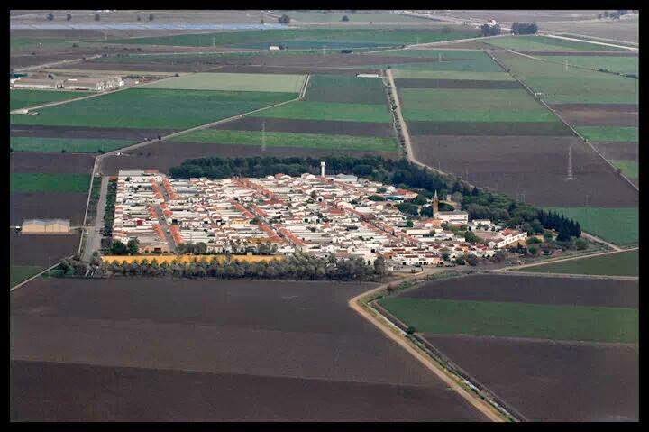 A vista de pájaro