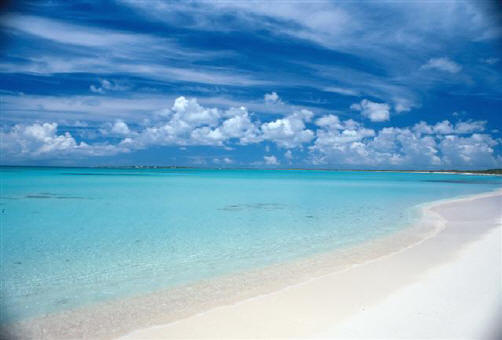 pictures of barbuda