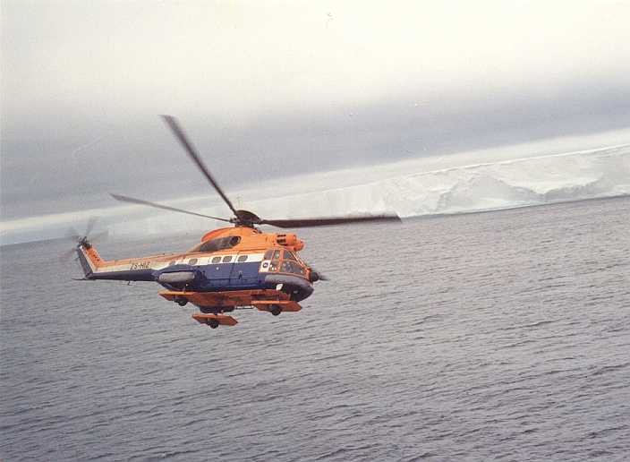 Saaf Puma
