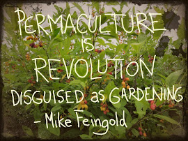 What is permaculture?