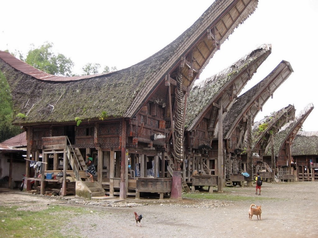 Koleksi Gambar Rumah Adat Tana Toraja Sulawesi Selatan
