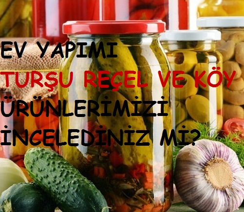 EV YAPIMI DOĞAL ÜRÜNLER