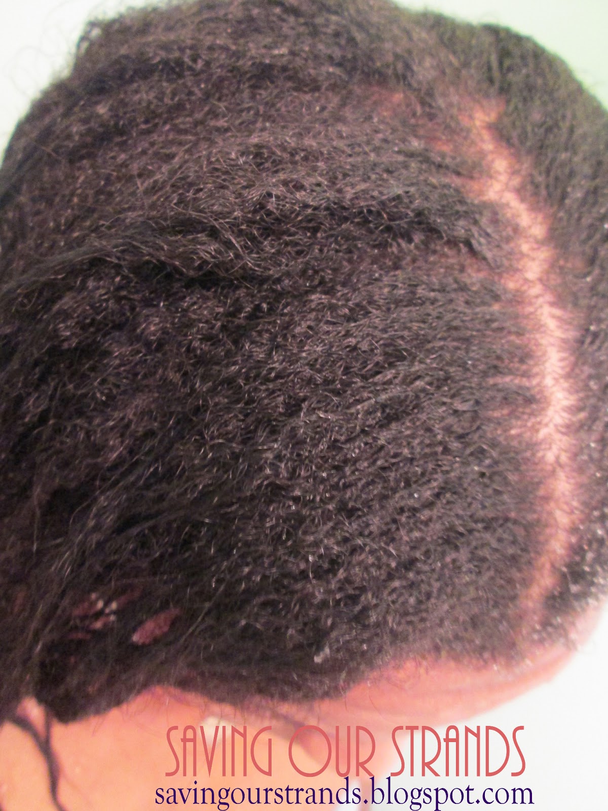 Savingourstrands Celebrating Our Natural Kinks Curls Coils