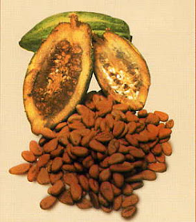 El Cacao