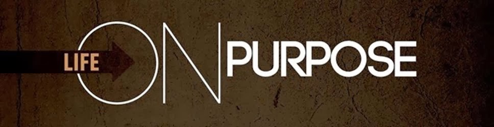 ::::: Visit website ::::: www.purposebypassion.com