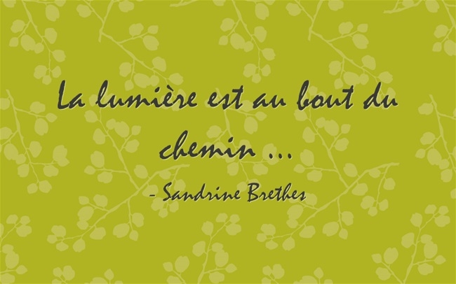 Journal D Art Quebec Citation Du Mois
