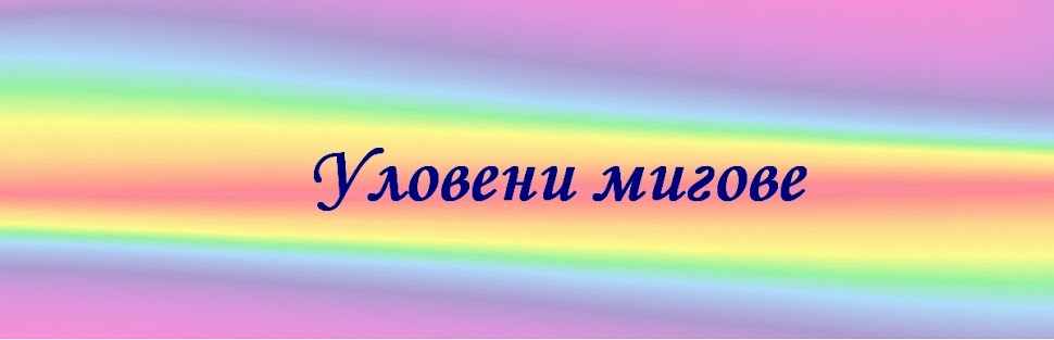 Уловени мигове