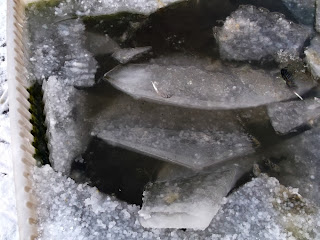 Thick ice on the ducks bath.