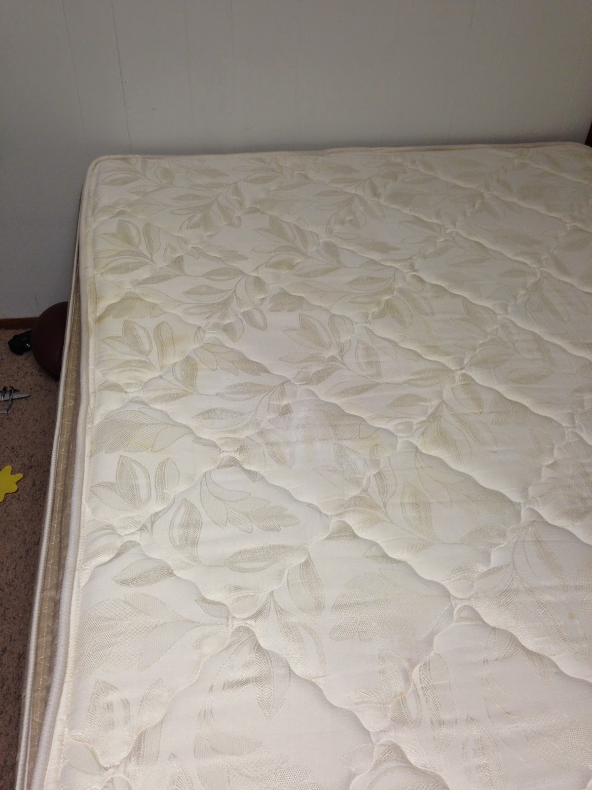 Love Always, Denise How to get a pee stain out of a mattress