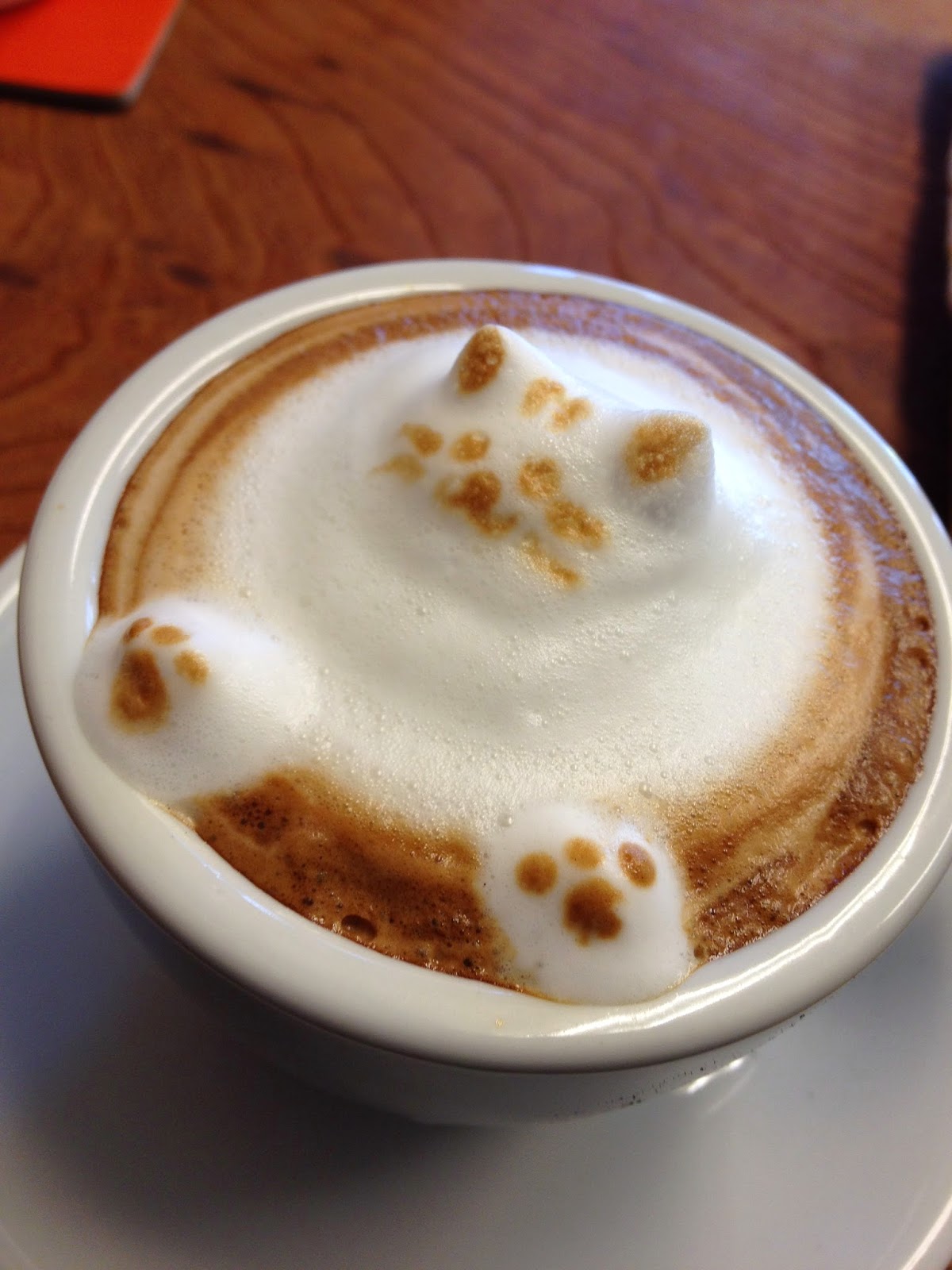 もるげん珈琲です 3dラテアート デブ猫