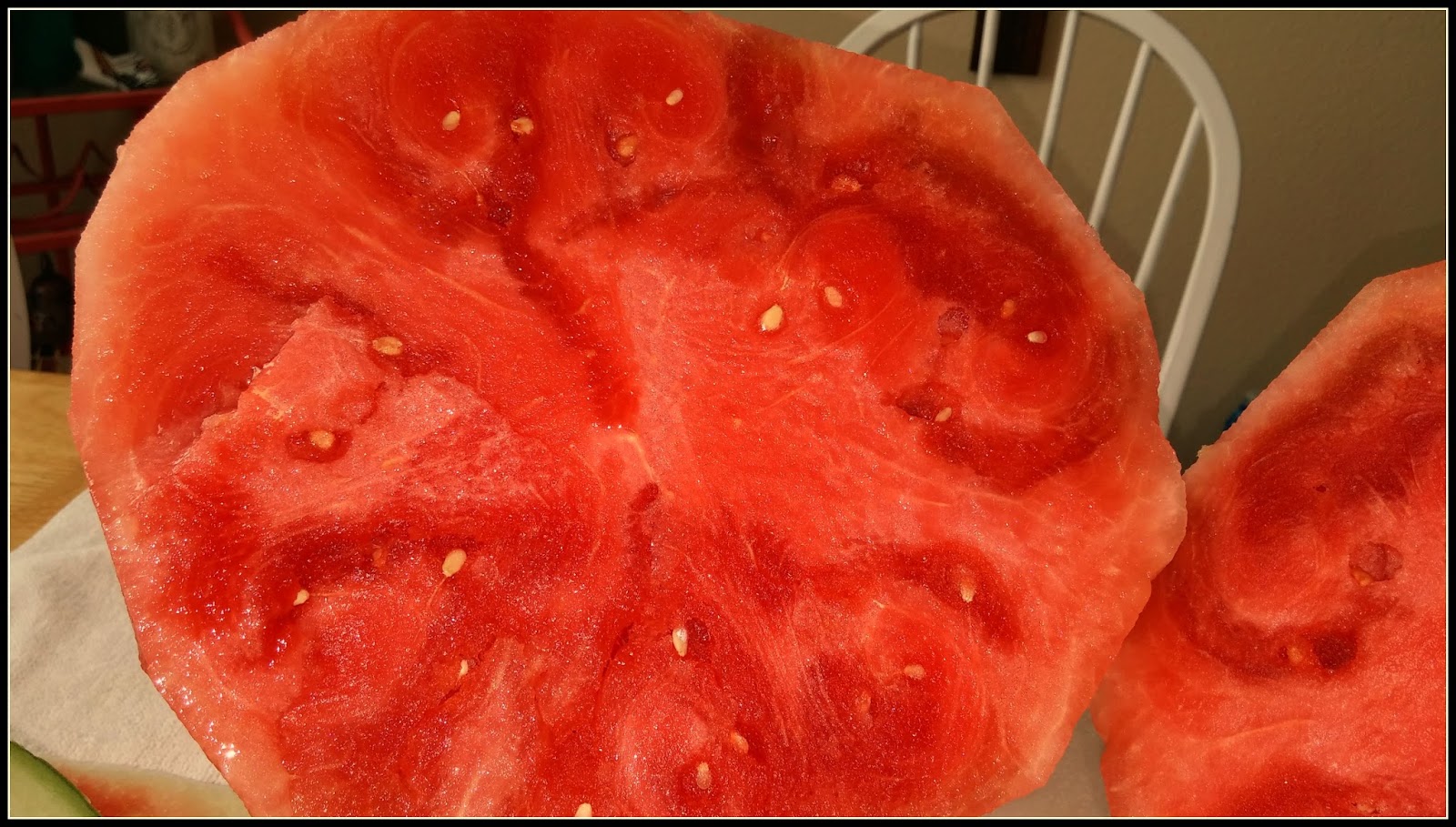 ABC's and Sweet Tea Surgery, a feather, and rotten watermelons