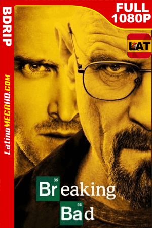 Breaking Bad Temporada 4 (2011) Latino Full HD BDRIP 1080P ()