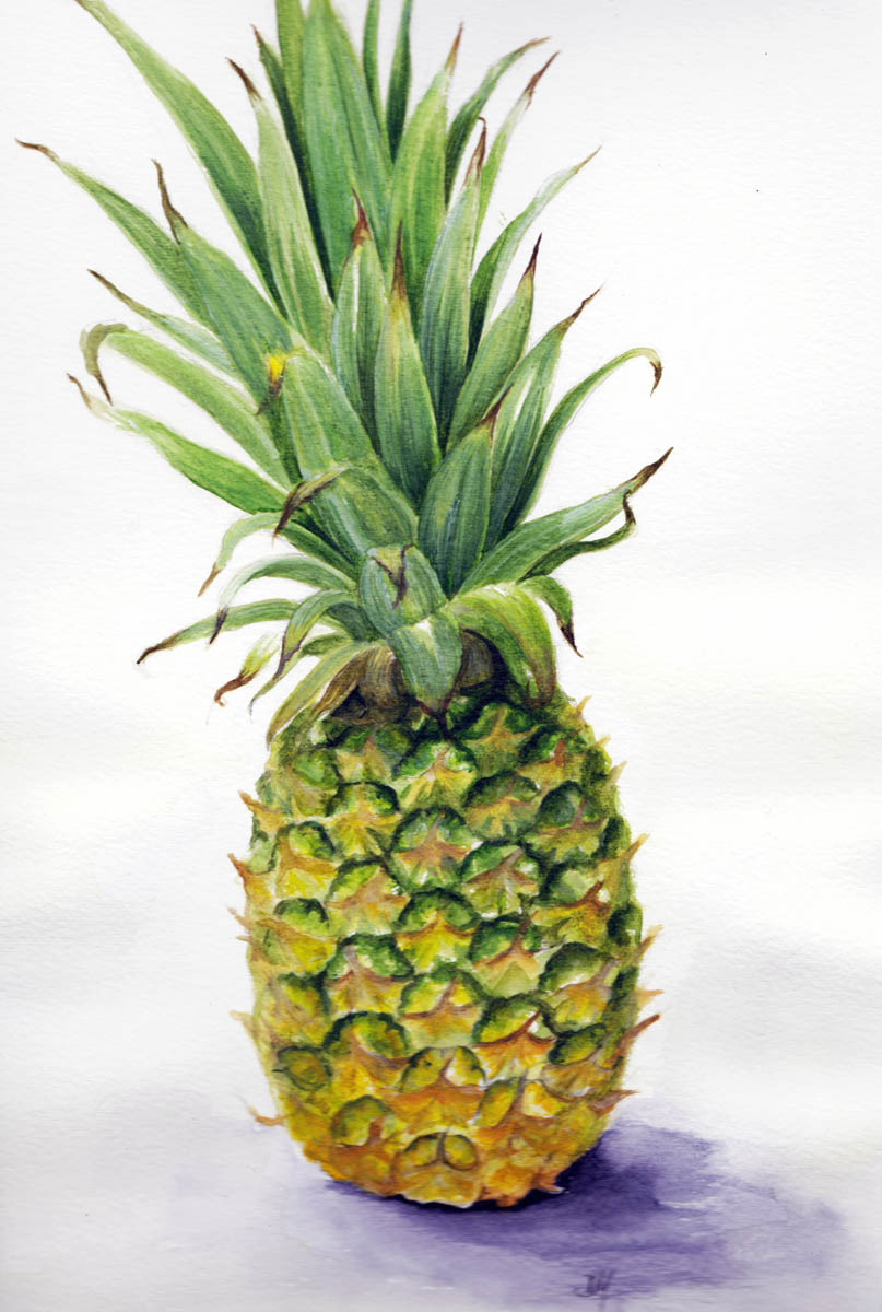 debra morris pineapple