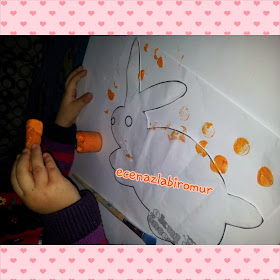 ecenaz pamuk sekerim havuc baskisi ve bu tavsanin kuyrugu nerede