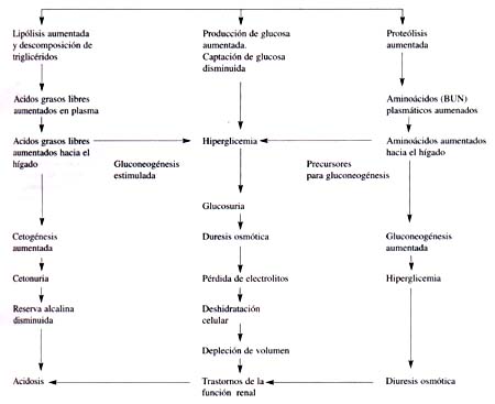 Farmacos corticosteroides pdf