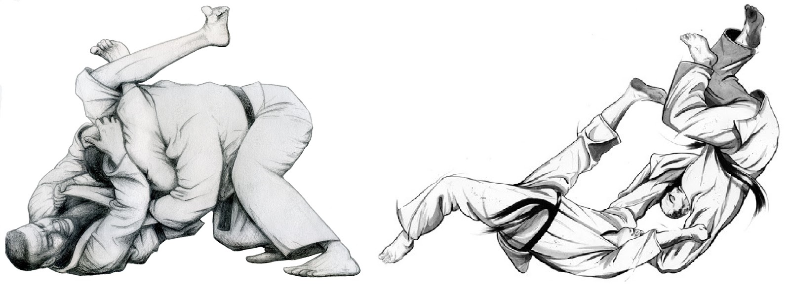 Livro De Jiu Jitsu Em Portugues Download