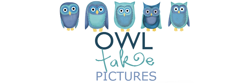 Owl Take Pictures