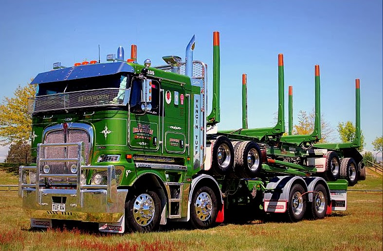 Custom Truck Chrome Bradshaw K200