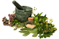 4 Obat Herbal Untuk Hipertensi 4 Obat Herbal Untuk Hipertensi