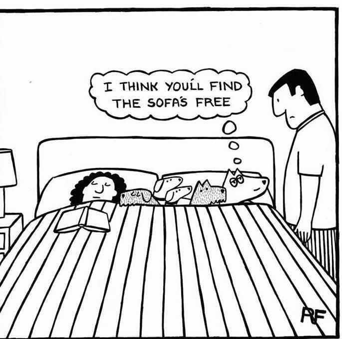 0007505140 i think you ll find it s i think you ll find the sofa s free joke all you can 0007505140 i think you ll find it s i think you ll find the sofa s free joke all you can