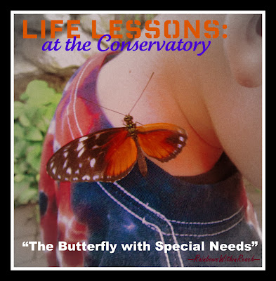 photo of: butterfly with special needs