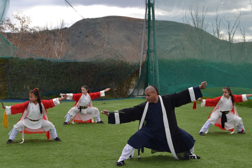 Wudang Wushu - Shaolin Kung-Fu - Wing Chun - Clases y Cursos (Tlf 626 992 139 )