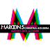Maroon 5 - Moves Like Jagger (FanMade Single Cover)