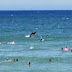 Surfistas australianos se surpreendem com tubarão ‘penetra’ em foto
