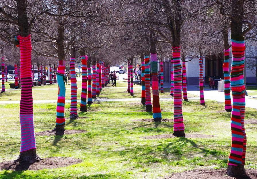 A Knitted Wonderland