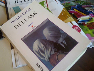 Ayse Nin Kitap Kulubu Deli Ask Peride Celal