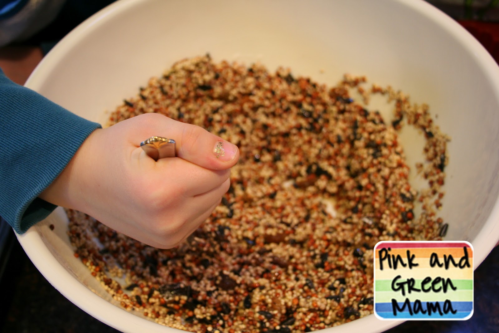 Making Bird Seed Cakes With Gelatin Making Bird Seed Cakes With Gelatin