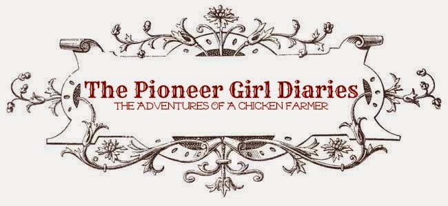 The Pioneer Girl Diaries 