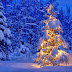 Fondo de Pantalla Navidad abeto en la naturaleza iluminado y lleno de nieve