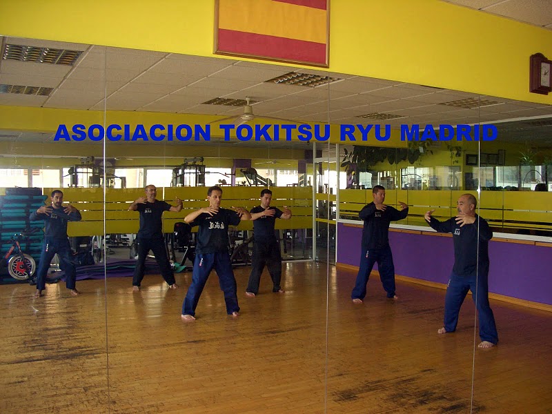 Asociacion Tokitsu Ryu Madrid