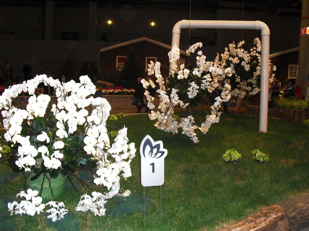 Life Among the Leaves: 2011 Chicago Flower and Garden Show Part 1