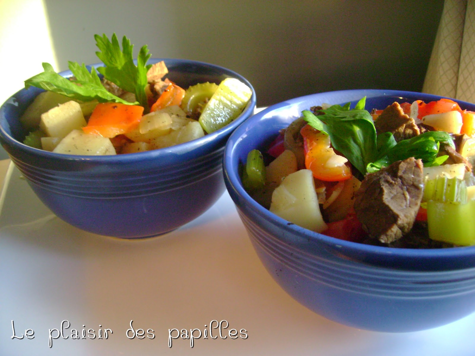 Le plaisir des papilles Fricassée au boeuf