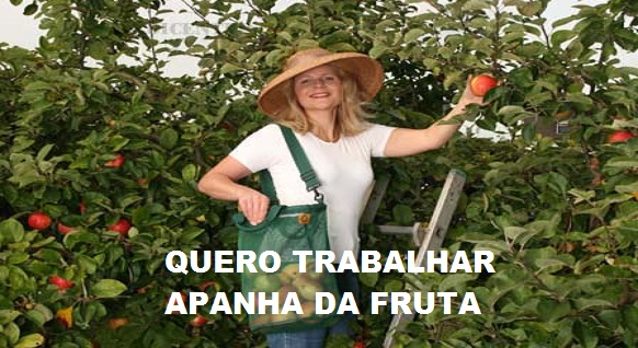 oferta