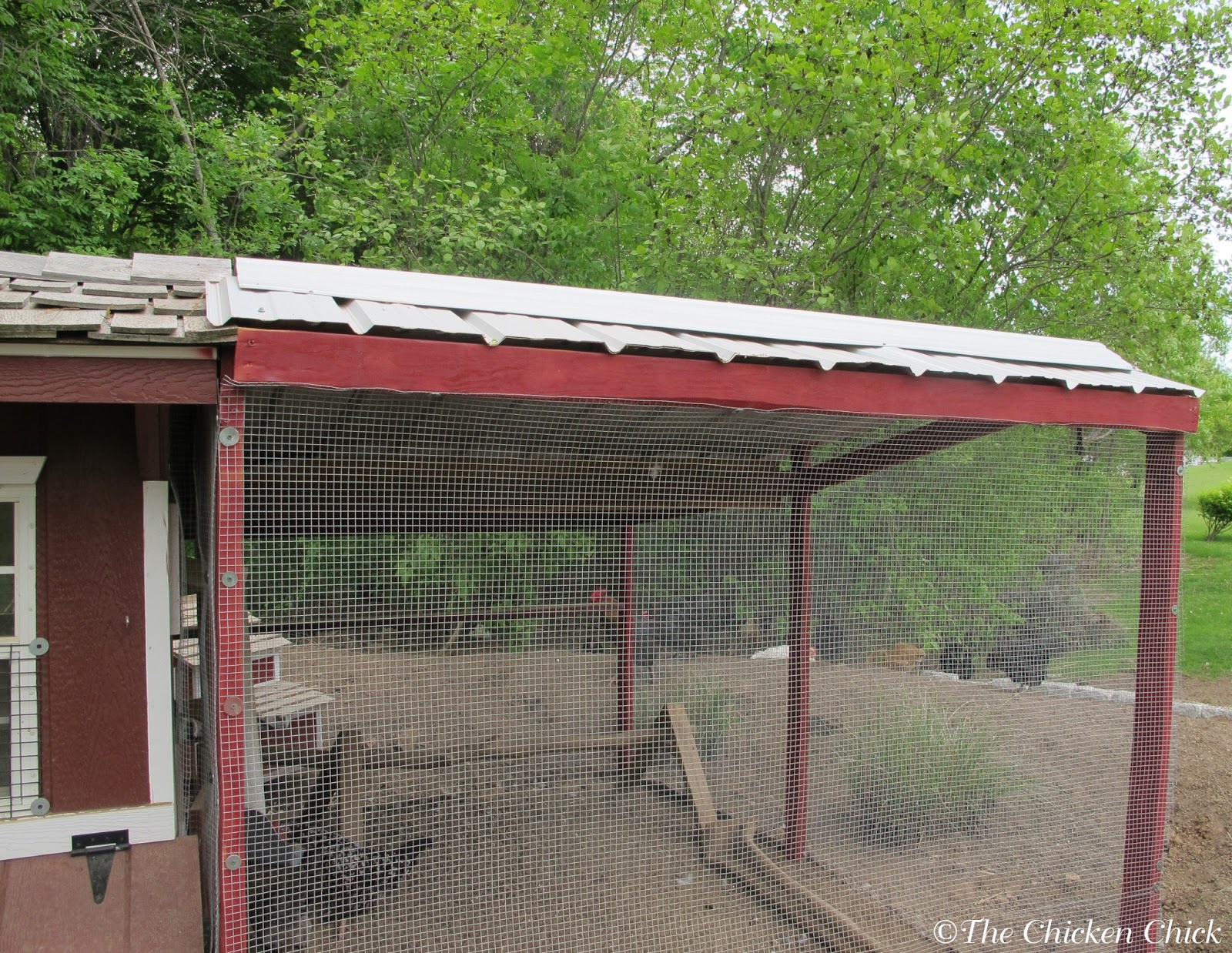 Diy chicken coop marsha coop