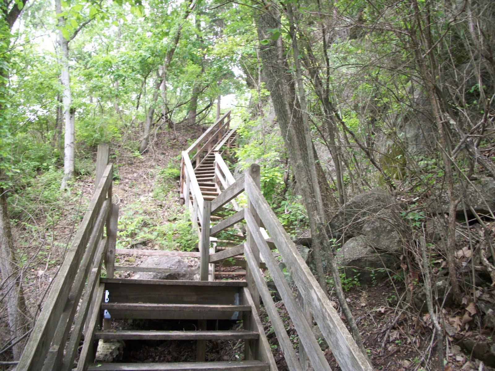 Me,myself, and my world: Magic of Mastodon State Park