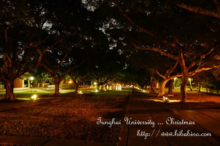 ::聖誕系列:: 台中遊記 漫步濃濃耶誕味的全台第一美校園。東海大學