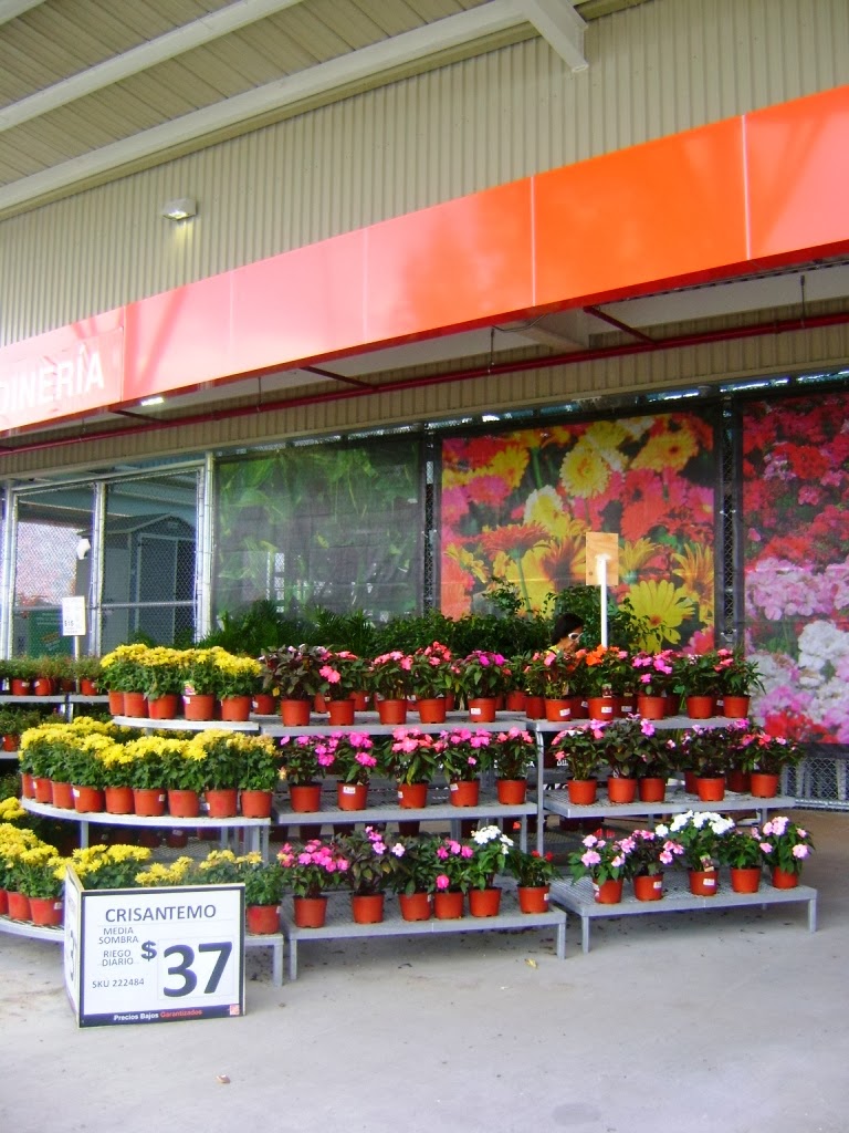 México a través de la mirada de una cubana The Home Depot Independencia en Guadalajara