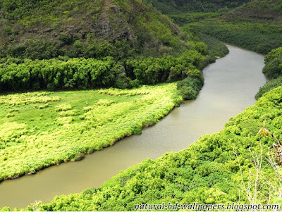 Beautiful river with greenery around, Most Beautiful Wallpaper